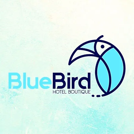 Blue Bird-3